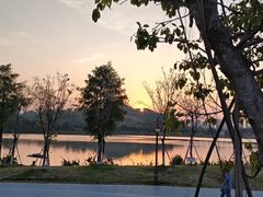 -鹤之洲湿地公园