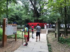 -西湖风景区十里琅珰-五云山
