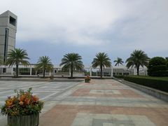 -厦门国家会计学院
