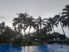 -三亚亚龙湾金棕榈度假酒店