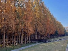 -南京金牛湖风景区