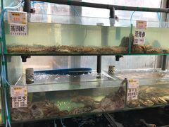水产区-春妮海味饭店