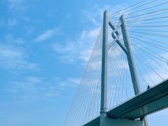 -招商蛇口邮轮母港(观光客运)