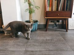 大堂-三花屋 Mihhanaya