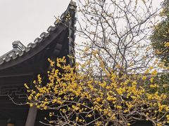 -清晏园