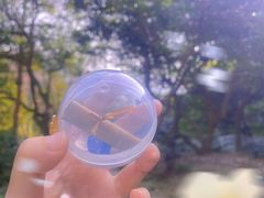 -素描餐厅(灵隐天竺店)