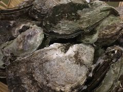 -蠔爺王志德生蚝馆(金沙湾店)