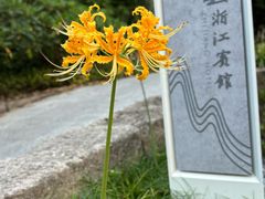 -浙江宾馆·花园餐厅·自助餐厅·茶吧