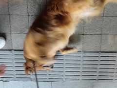 -MARSMART PETS火星宠物超市(1733店)