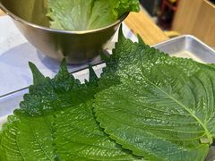 -杨记齐齐哈尔烤肉(总店)