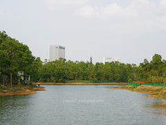 -聚龙山公园