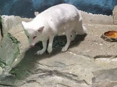 -zoonana室内动物园(东方福来德店)