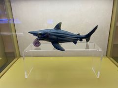 -上海中国航海博物馆