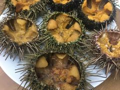 -海胆小馆(东北水饺·春柳店)