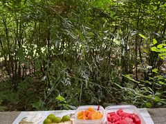 -上海共青森林公园