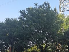 -华夏文旅西安度假区