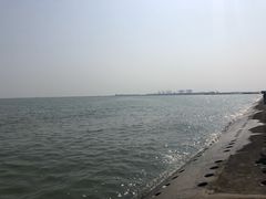 -东疆建设开发纪念公园