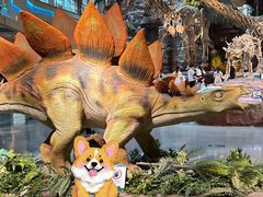 -安徽省地质博物馆