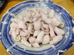 羊肚仁-金生隆(六铺炕店)