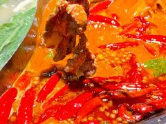 -阳阳老火锅(小南门店)