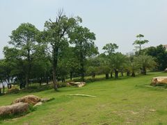 -飞来湖湿地公园