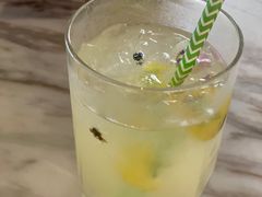 荔枝豆蔻葡萄酒-the rug 飞毯 (朝阳公园店)