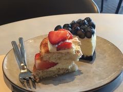 -Wagas沃歌斯(汇智店)