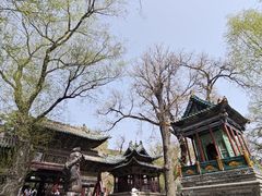 -晋祠公园