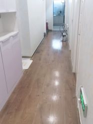 -YESIDO椰岛造型