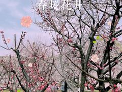 -北京明城墙遗址公园