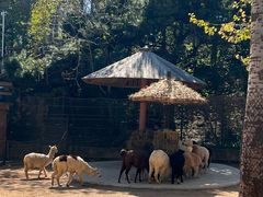 -大连森林动物园