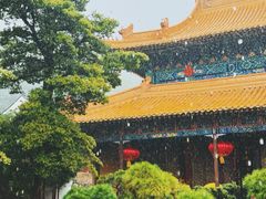 -普陀山风景名胜区-法雨禅寺