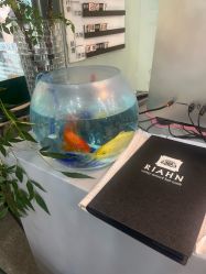 -韩国丽安形象设计