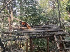 -昆明动物园