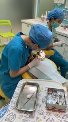 -青苗儿童口腔(长楹天街购物中心)