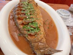 -老雒阳面馆·水席·洛阳菜(王城路店)