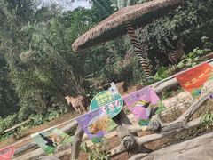 -海南热带野生动植物园
