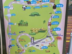 -西霞口神雕山野生动物世界