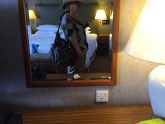 -新加坡瑞士史丹福酒店