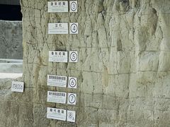 -金沙遗址博物馆