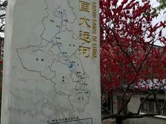 -桃花堤公园