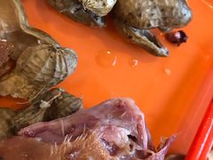 -斯通泰伯酒店-餐厅