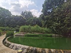 -成都市活水公园