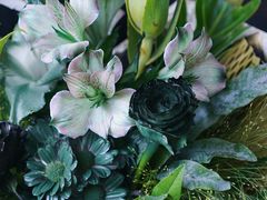-花生FM_FLOWERS