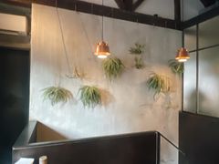 -Apollo·西班牙小酒馆(安福路店)