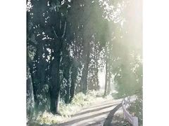 -黑骏画室·深圳美术中高考黄埔军校