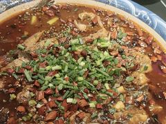来凤鱼-新概念来凤鱼(璧山店)