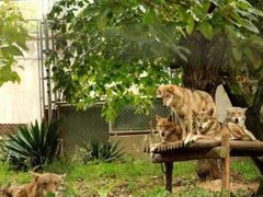 -西安秦岭野生动物园