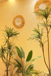 -御品•瑶浴灸疗SPA