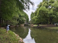 -上海滨江森林公园